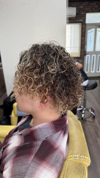 ハードパーマ　メッシュ