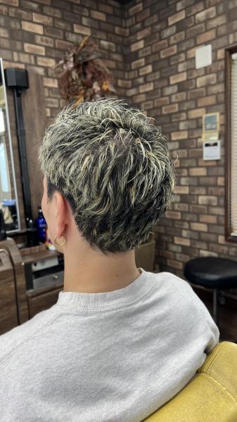 スパイキーメッシュ