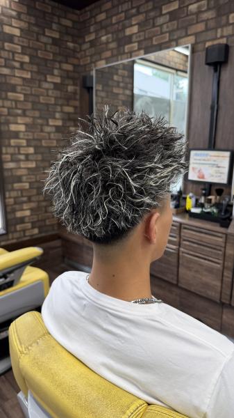 ツイストメッシュ