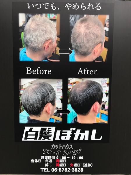 白髪ぼかしやってます。