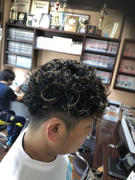 プードルパーマ&メッシュ