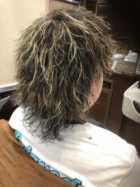 ツイストスパイラル&メッシュ(ウルフスタイル)