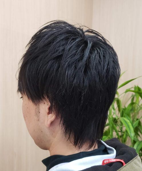 【メンズウルフヘア✂️】