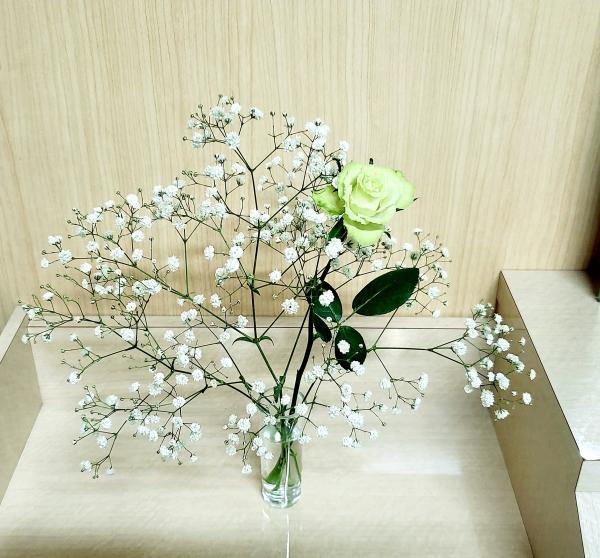 【お花の入れ替え】