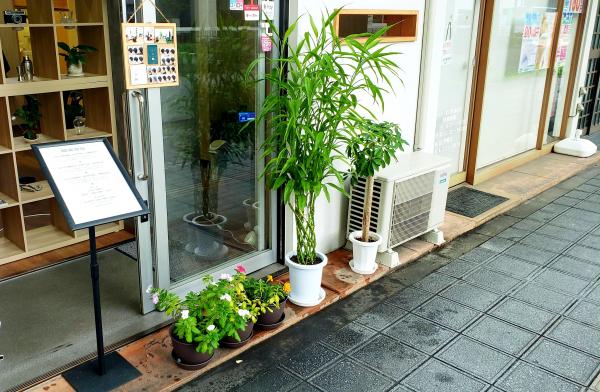 【朝の水やり】