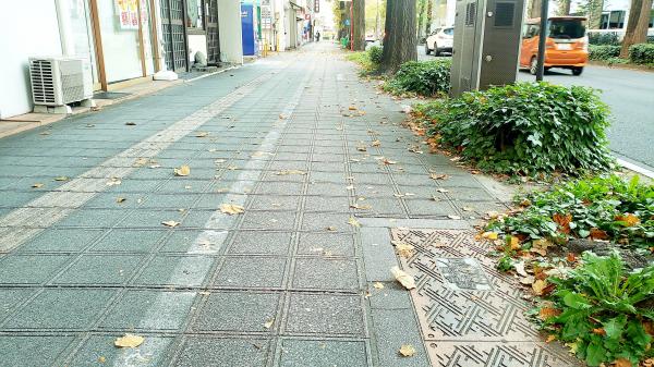 【もうすぐ冬❄️】