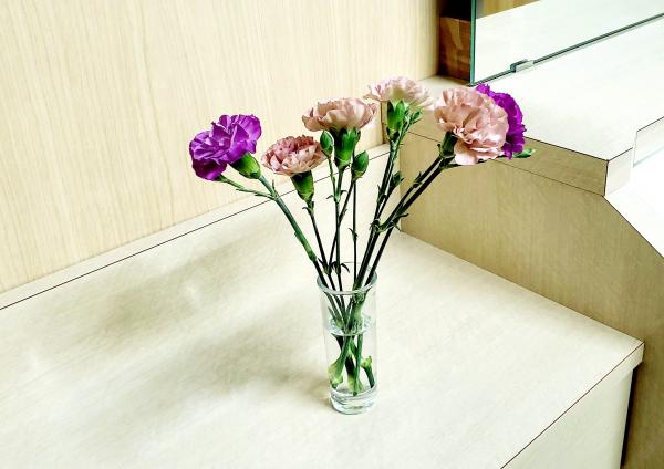 【新しいお花