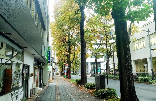 【秋色の北目町通り