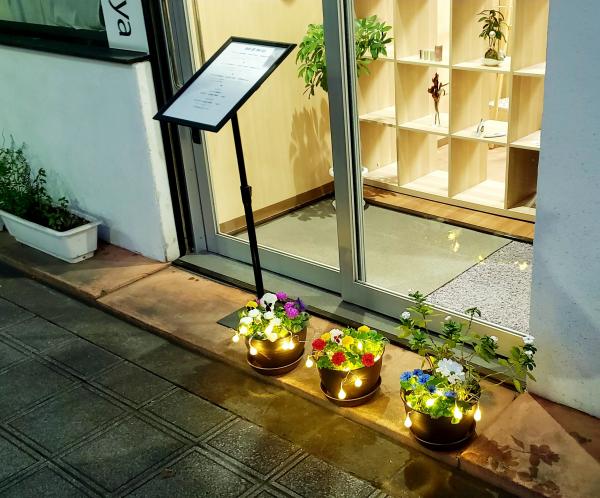 【朝もイルミネーション♪】
