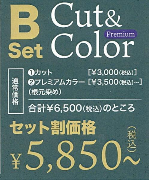 Bset