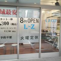 L,Z CUT