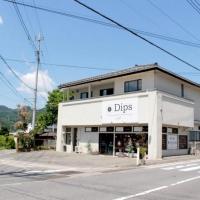 Hair & Esthetic DIPS