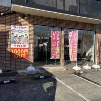 Bewish Tokyo 陽光台店