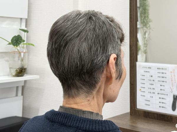 レディースショートヘア✄﻿