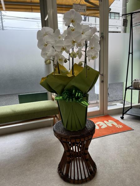 大先輩からのお祝い!!